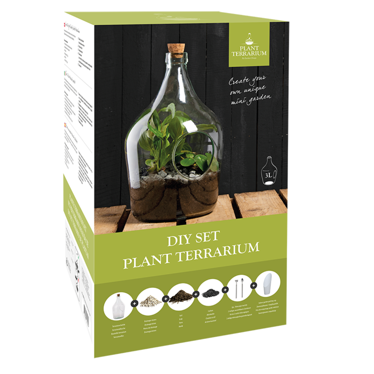 DIY Pflanzenterrarium 3 Liter